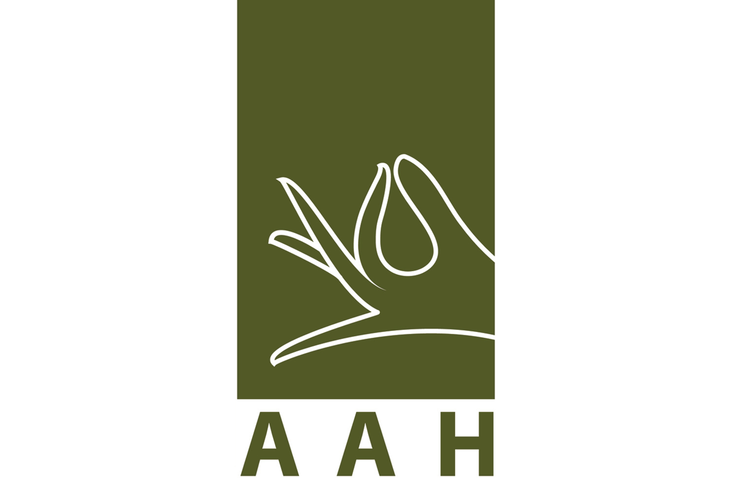AAH Corporation